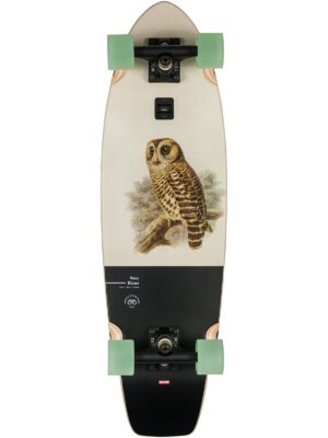 This is an image of Boards Completes Skate Globe Wave Blazer Hoot Owl Skateboard